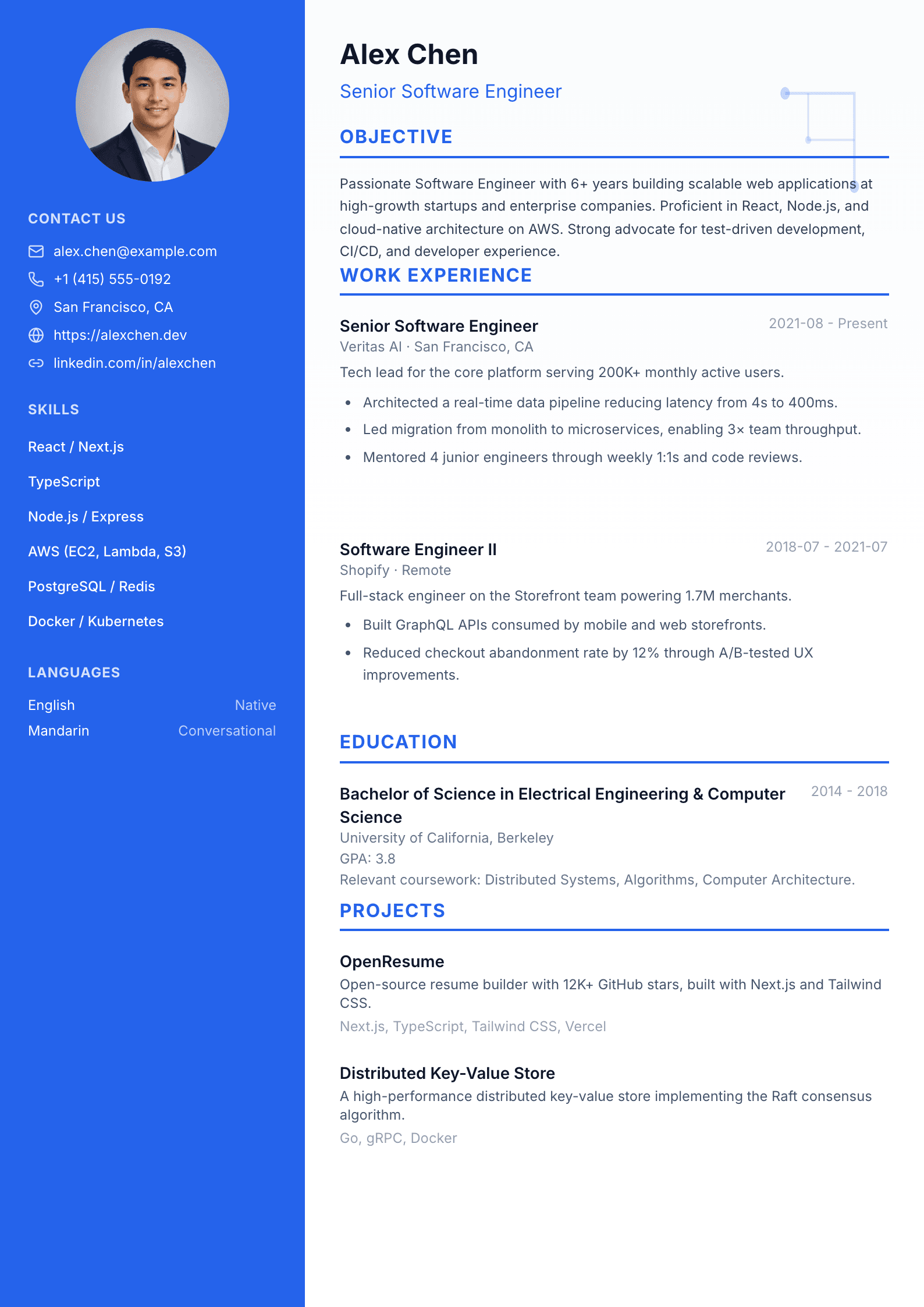 IT / Software template