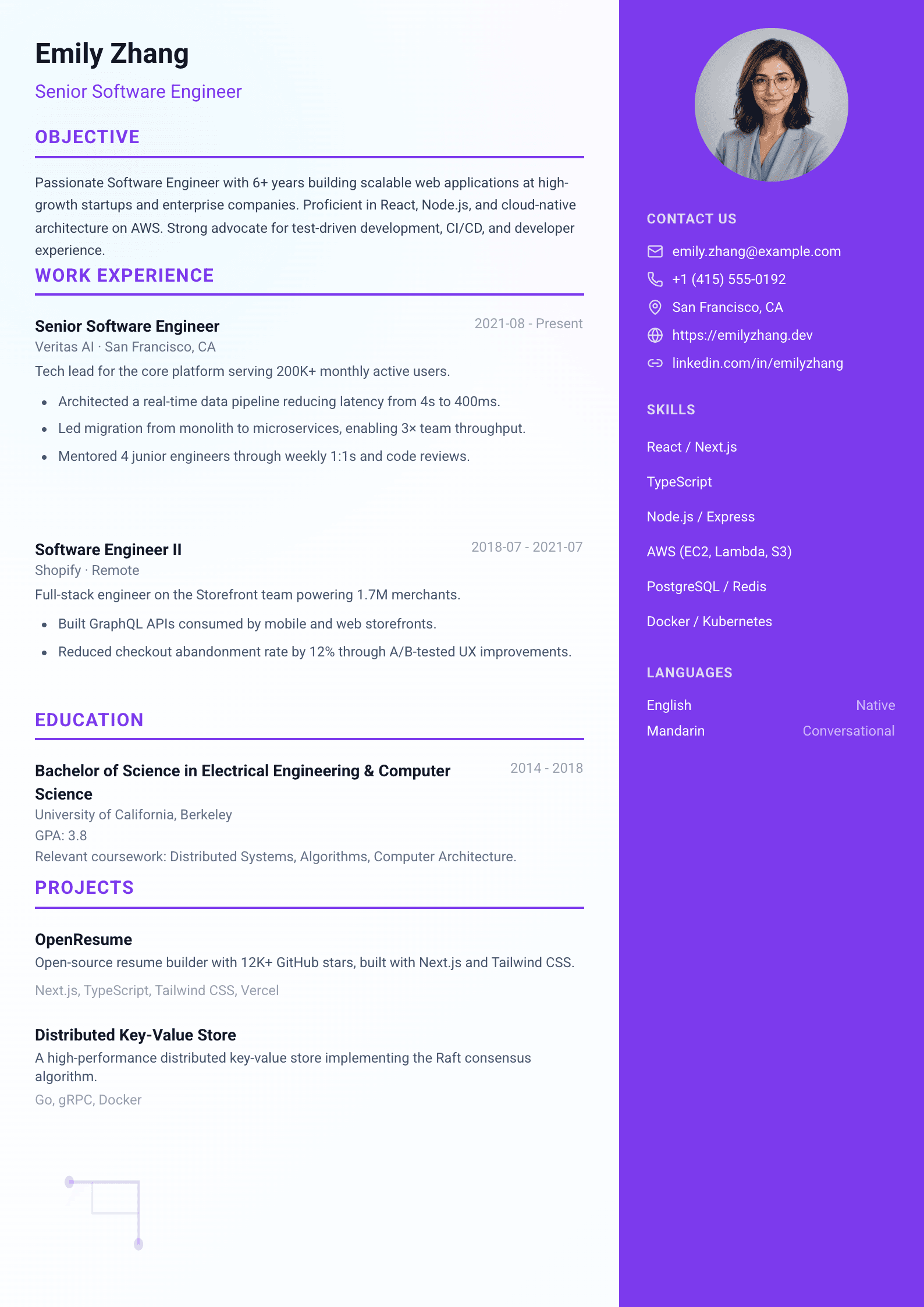 Tech Professional 02 resume template preview