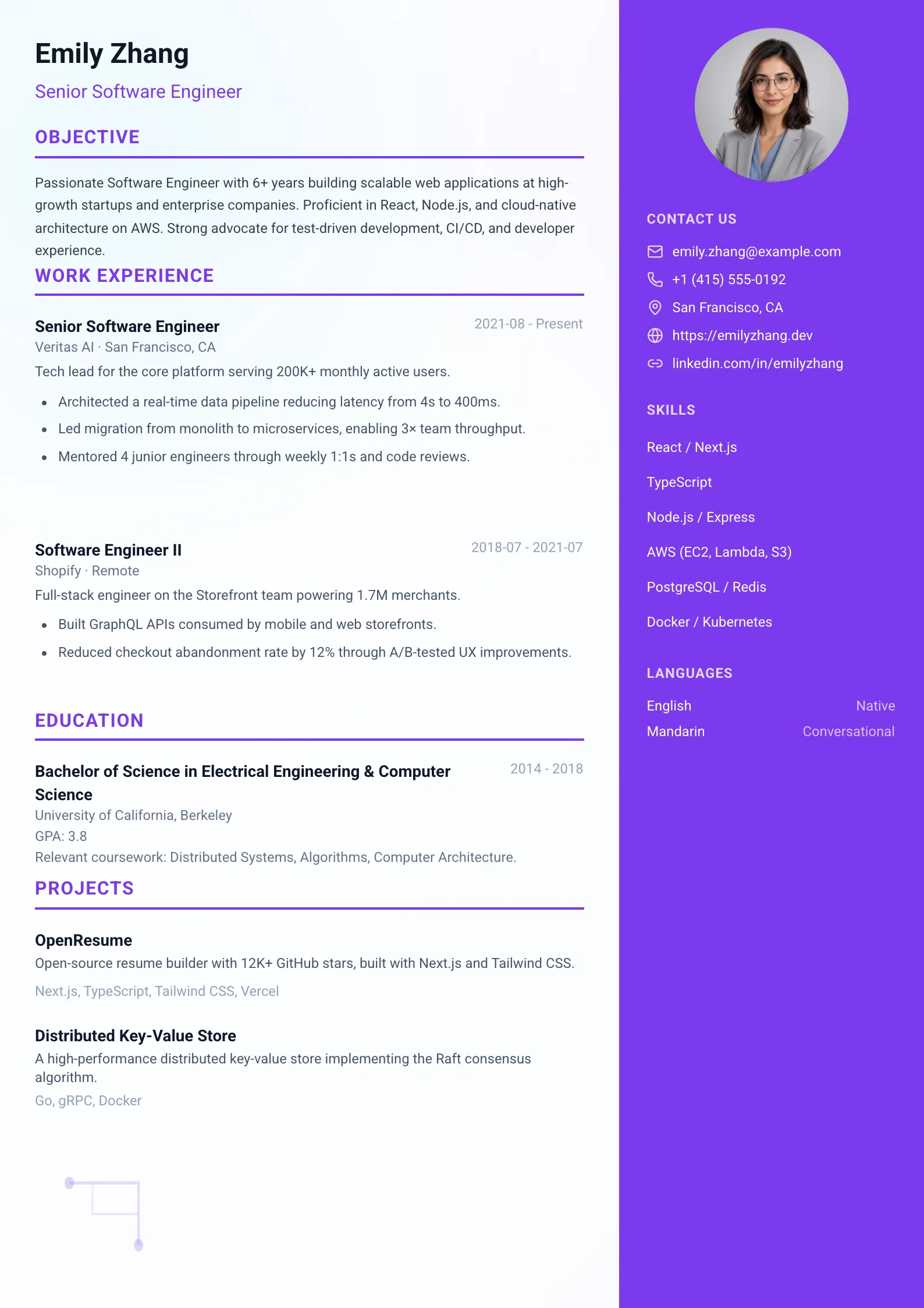 Tech Professional 02 resume template preview